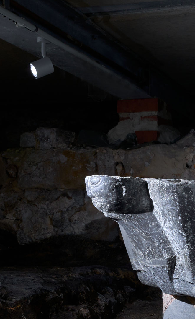 Illuminando la storia